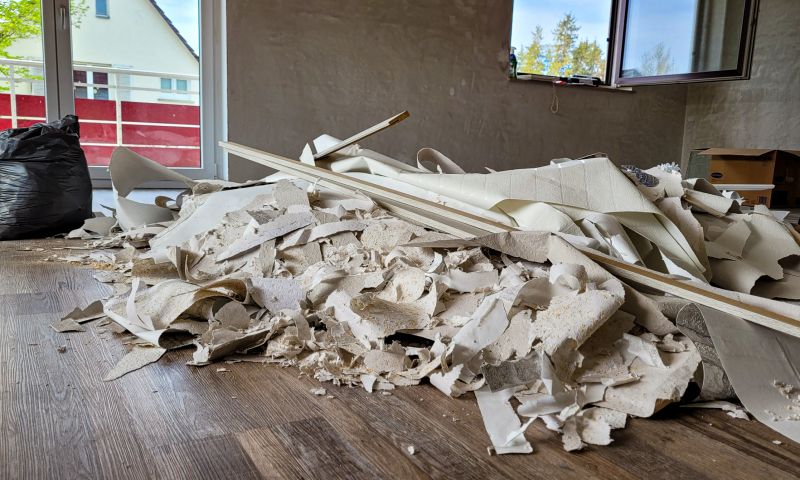 Final Cleanup Before Renovation